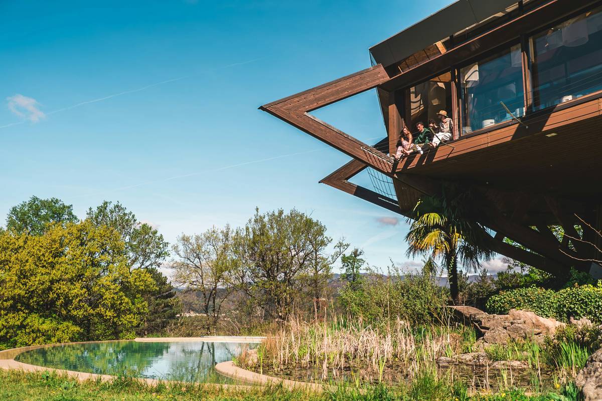 10 Unique Vacation Rentals in USA That’ll Make Your Feed Jealous (And Your Soul Recharge)