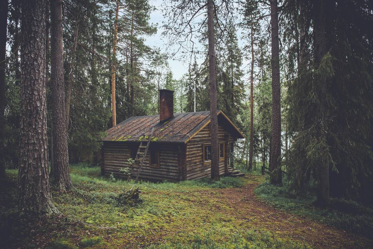 Why Modern Amenities Cabin Rental Is the Future of Smart Getaways